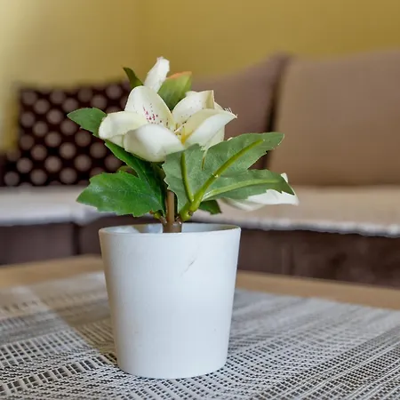 Vila Narcis 兹拉蒂博尔 外观 照片